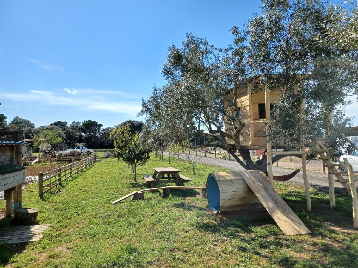 Apartamento En Casa De Campo Cerca De La Playa Pals Bagian luar foto