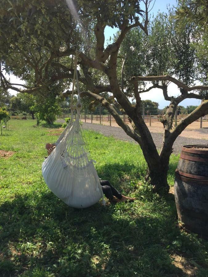Apartamento En Casa De Campo Cerca De La Playa Pals Bagian luar foto