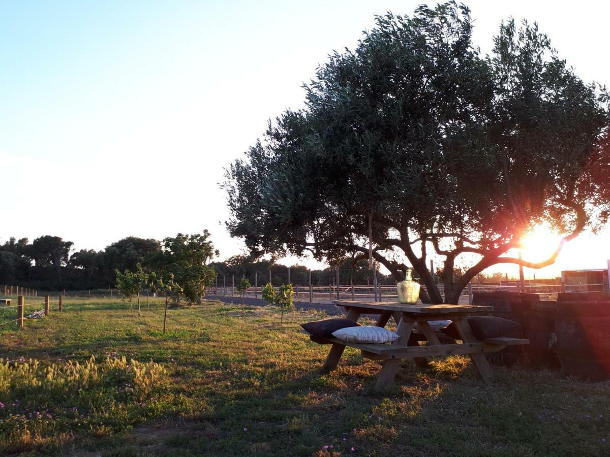 Apartamento En Casa De Campo Cerca De La Playa Pals Bagian luar foto